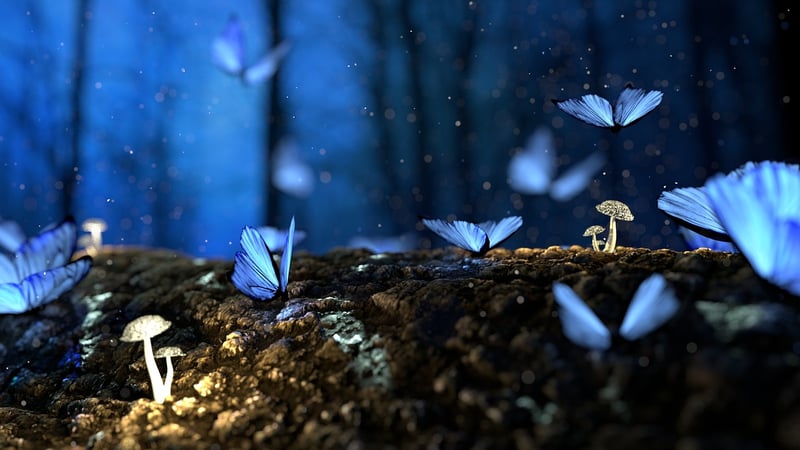 Enchanted Decor